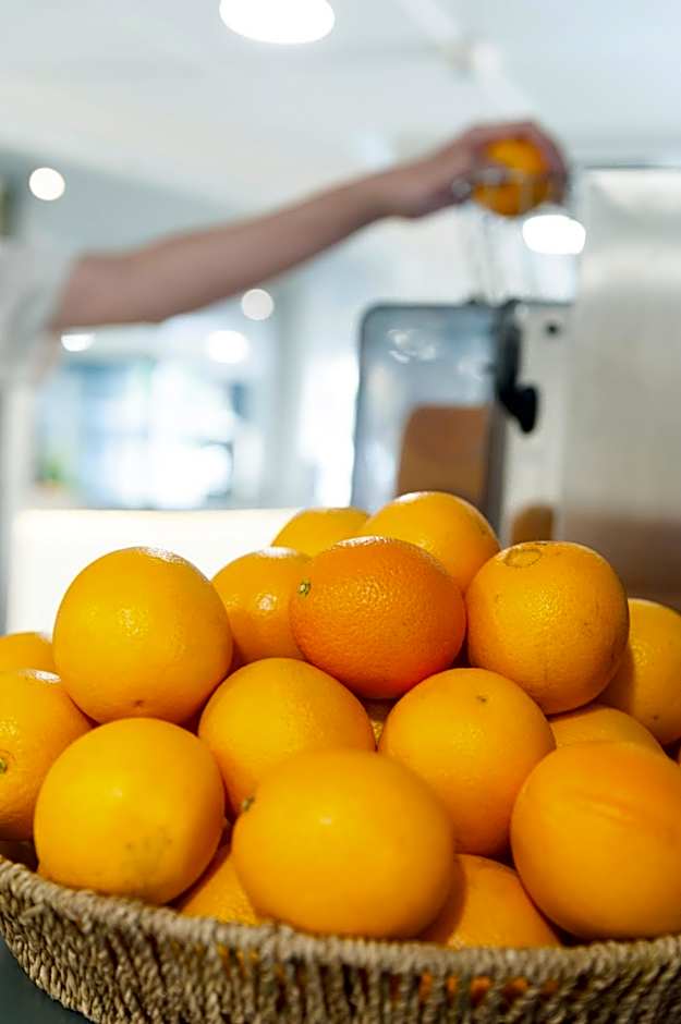 Brit Hotel Mâcon Centre Gare