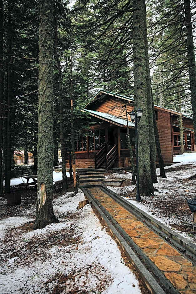 Karinna Orman Evleri