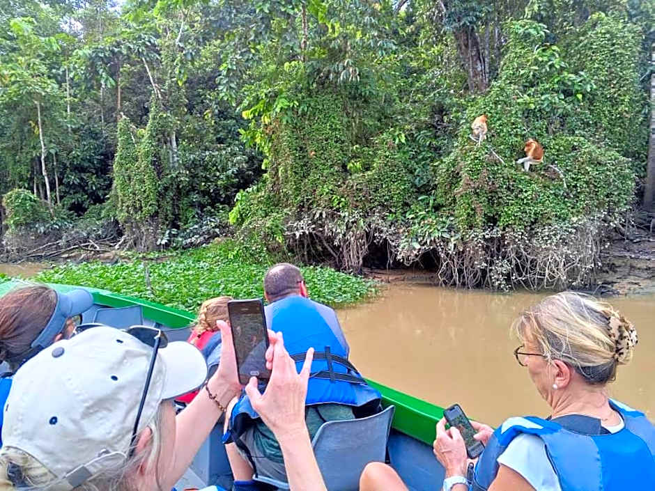 Borneo Jungle Adventure