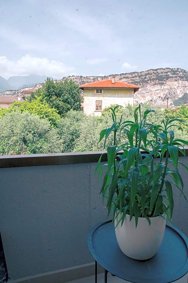 Hotel Aurora & Appartamenti