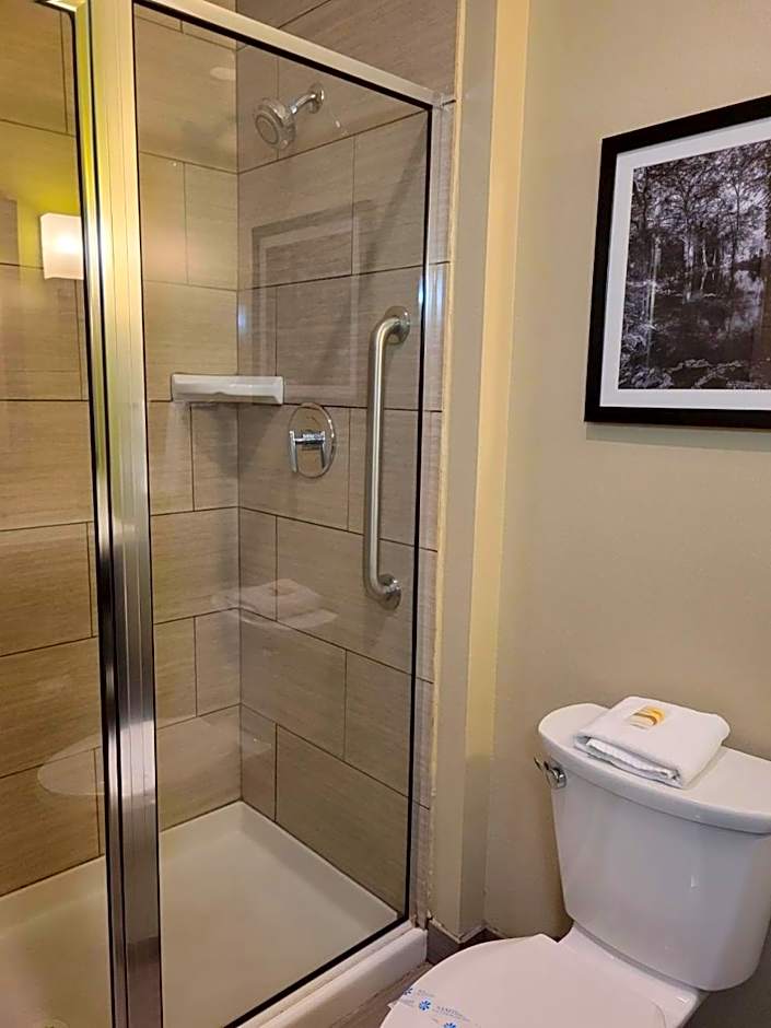 La Quinta Inn & Suites by Wyndham Tyler-University Area