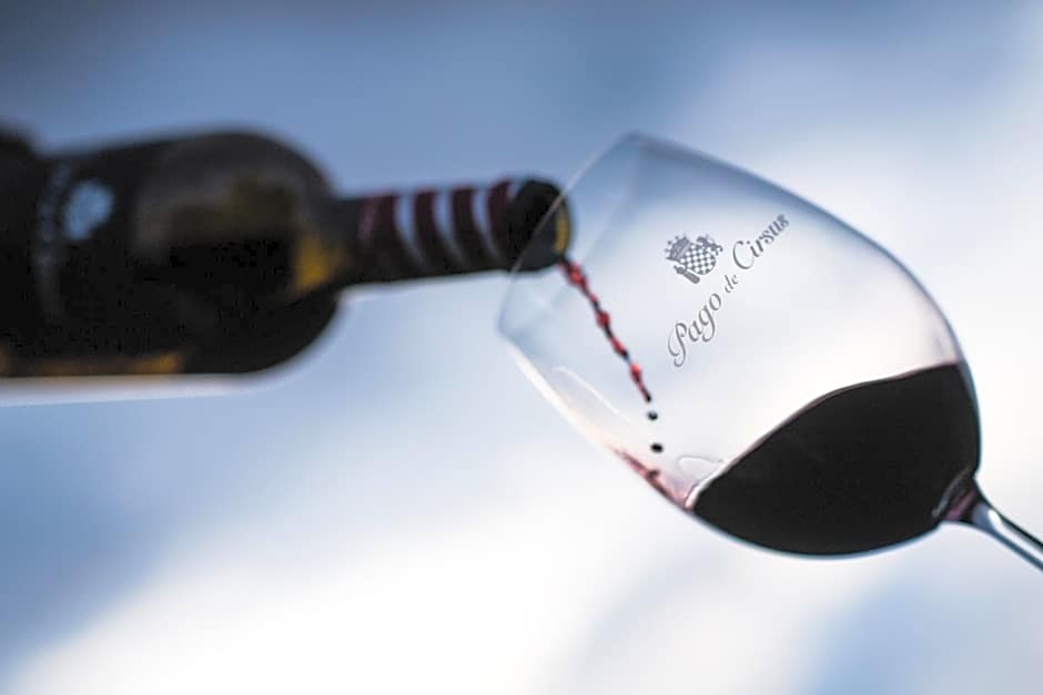 Hotel Pago De Cirsus