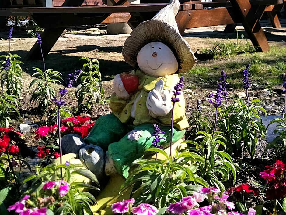 Flower and Star Garden Bed and Breakfast