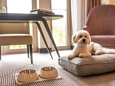 Luxury Twin Room