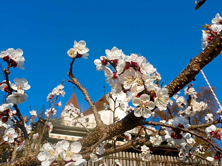 Hotel Restaurant Schwert Thun