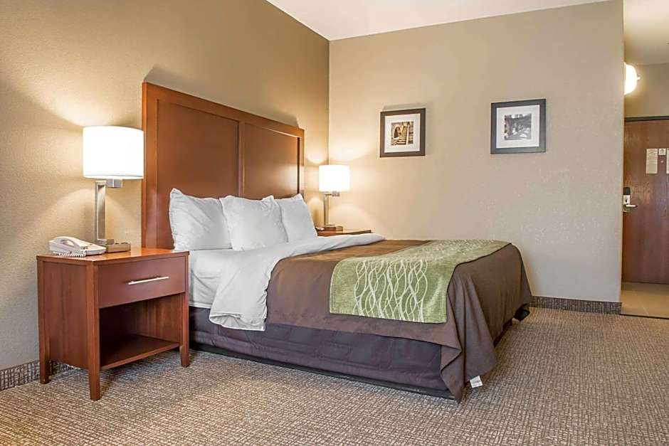 Comfort Inn Edinburg South