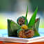 Bali Bening