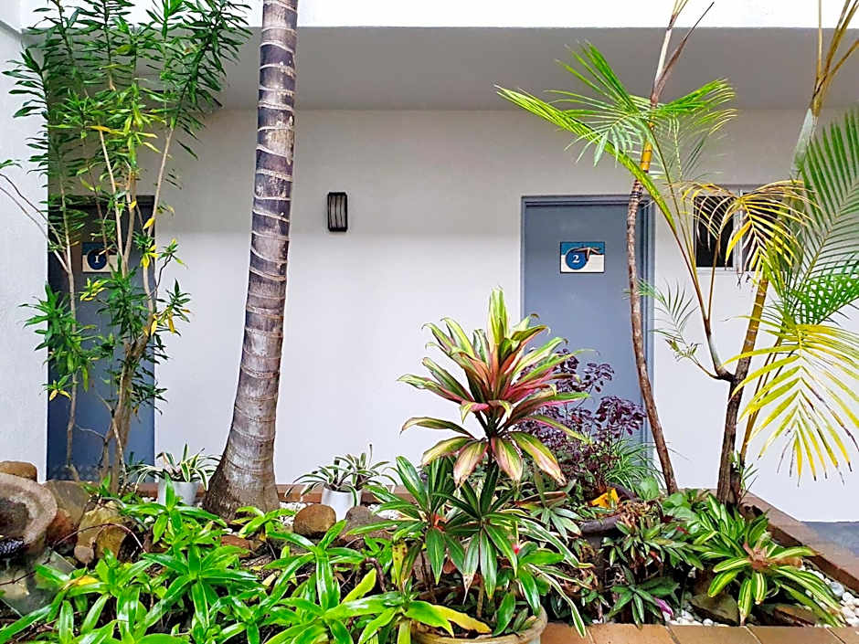 Oceanside Hawks Nest