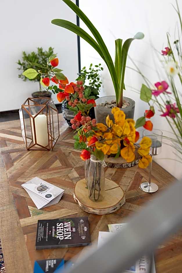 Haidinger's Boutique Domizil