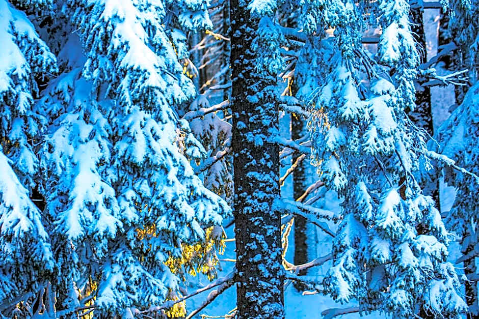 Sunny Hills Ski&Wellness