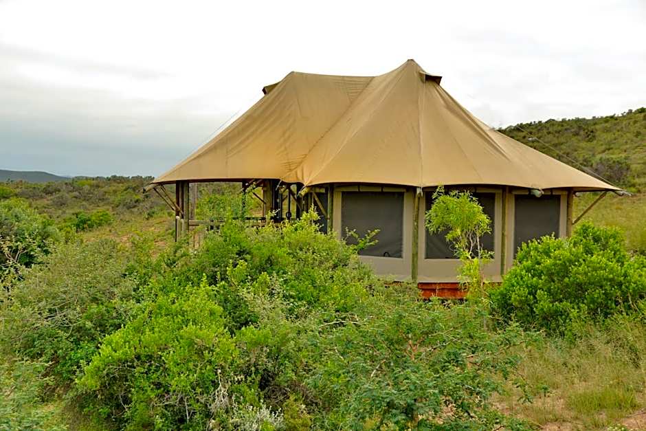Garden Route Safari Camp