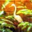Jardim Secreto