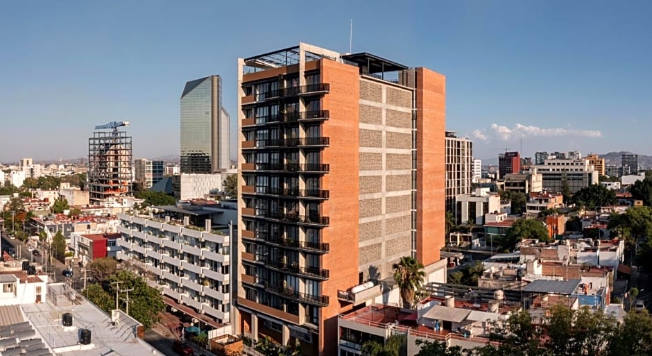 Eucalipto Flat Witgdl