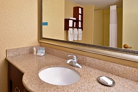 1 Queen Bed Nonsmoking