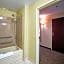 Holiday Inn Express Hotel & Suites Christiansburg