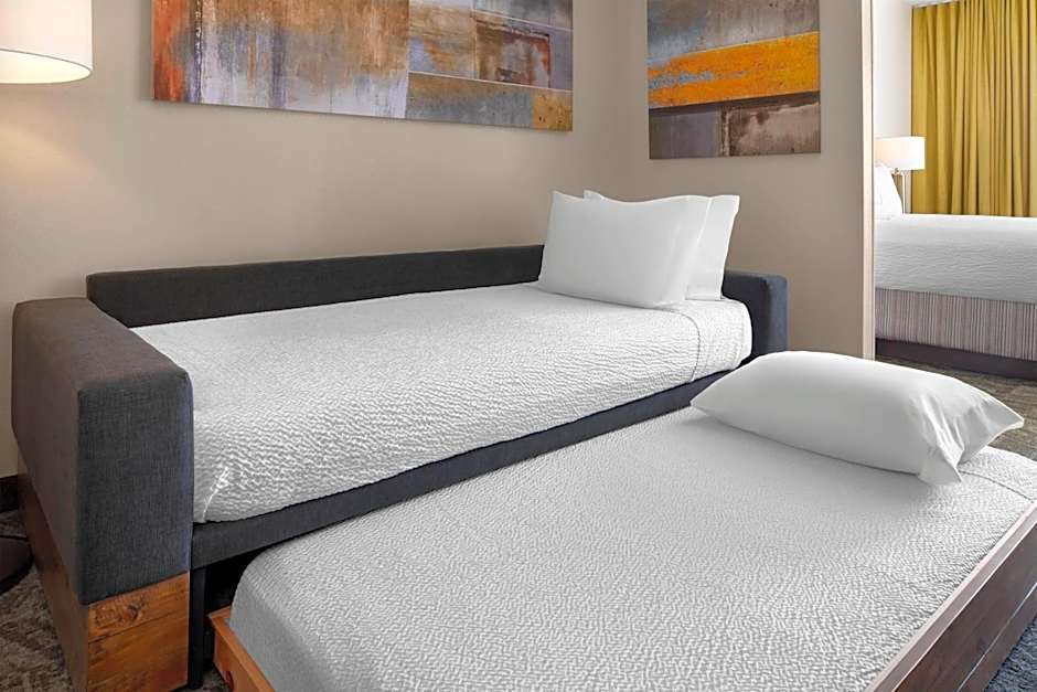 SpringHill Suites by Marriott Austin Round Rock