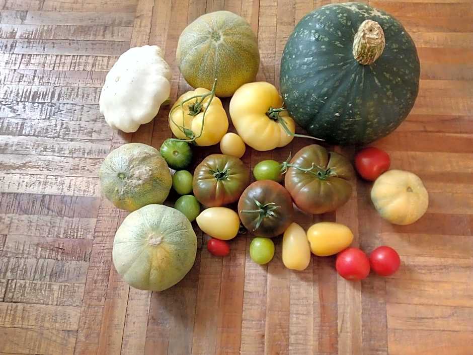 Hotel-Gasthof Opel Bed & Breakfast