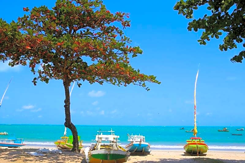 Edf Time - conforto e sofisticação