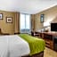 Comfort Inn Edison