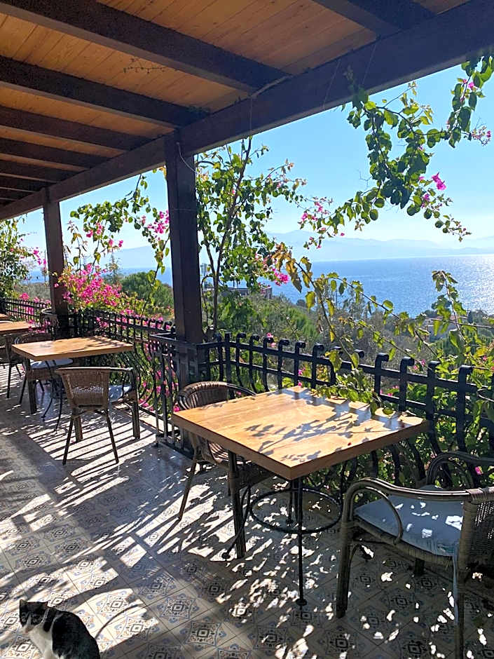 Assos Longevity Hotel