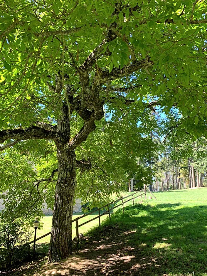 Albergo Villa San Michele