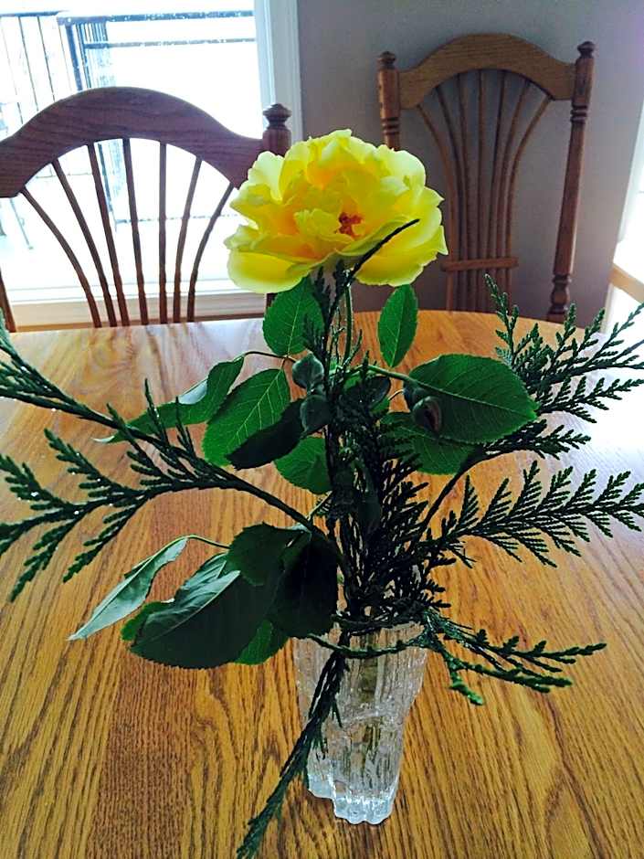 Cycle Inn Bed and Breakfast