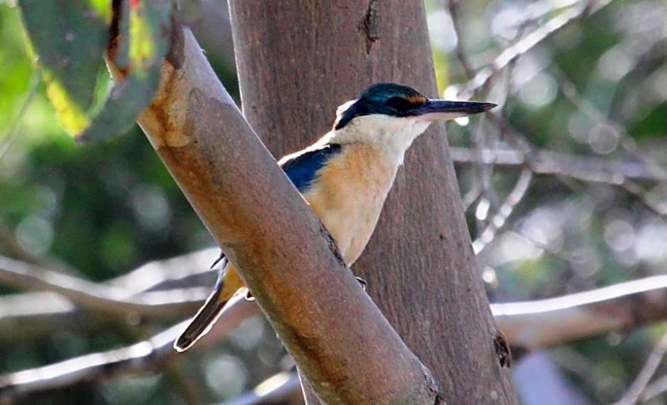 Messmates Luxury Eco Suites