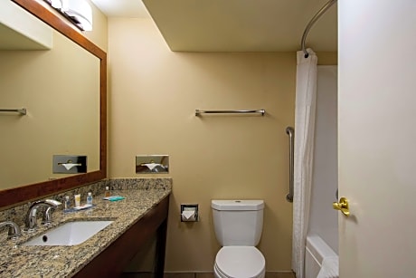 1 King Bed, Suite, Nonsmoking