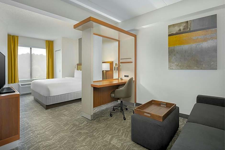 SpringHill Suites by Marriott Athens West
