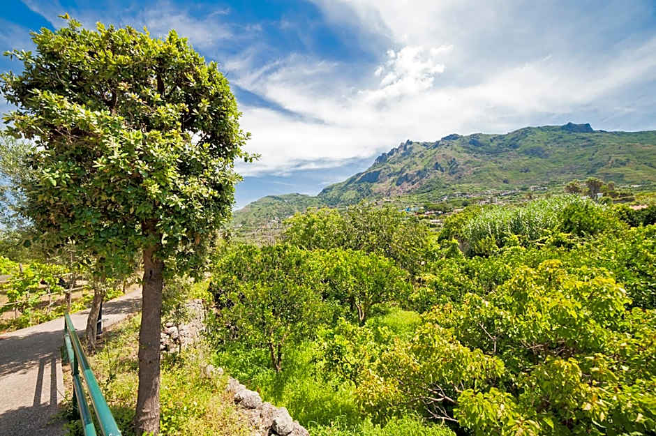 Park Hotel Terme Mediterraneo