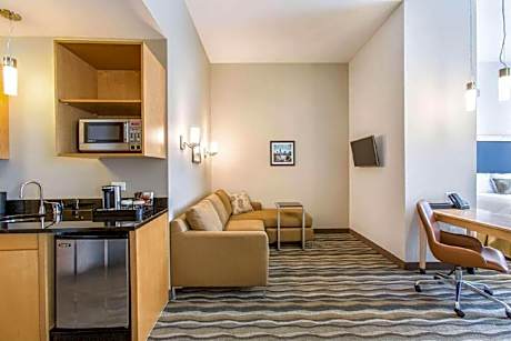 1 King Bed One-Bedroom Mobility Accessible Suite Tub W/Grab Bars Non-Smoking