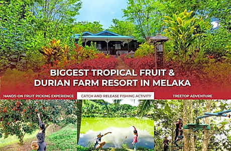 The Orchard Wellness & Health Resort