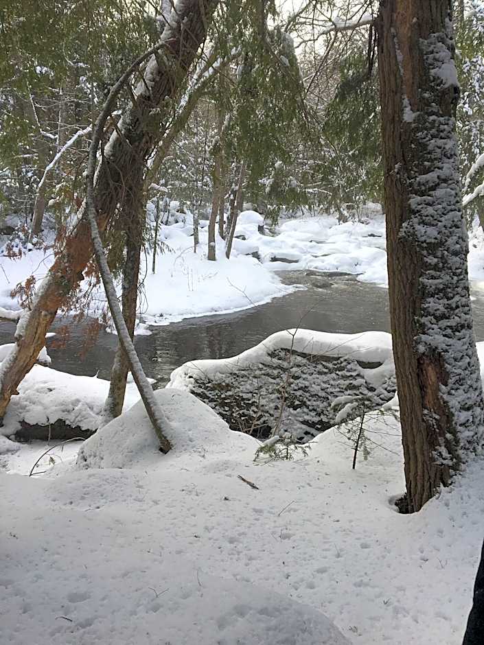 La Maison de Ville - bed & bistro