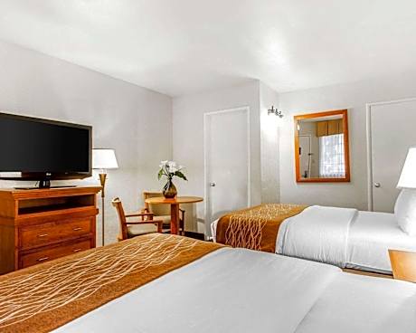 Standard Room with Two Double Beds Non-Smoking