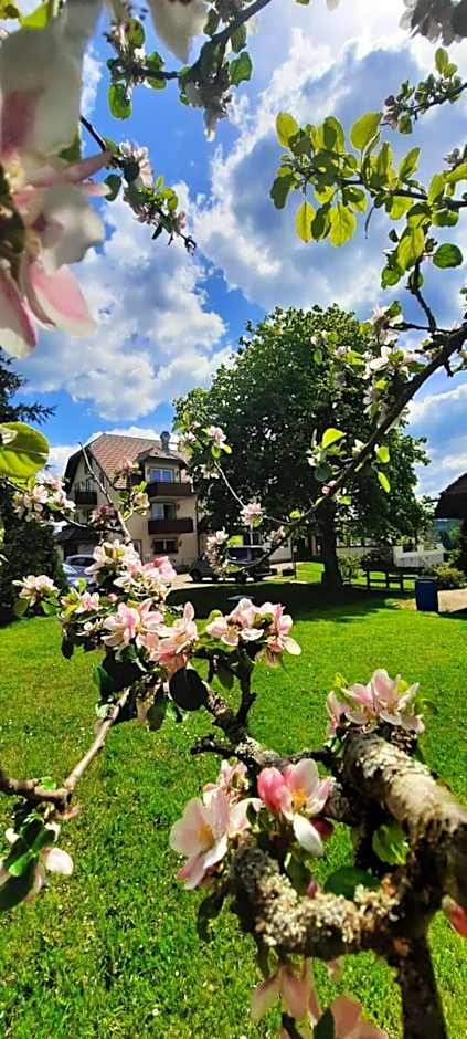 Hotel Gasthof Jagerhaus