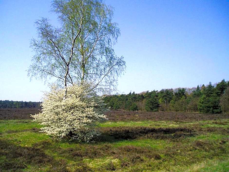 Fletcher Hotel Restaurant De Mallejan