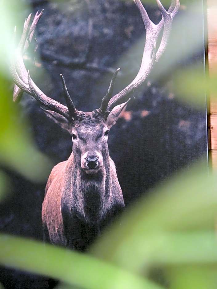 Susanna NEU mit Netflix Traveller Awards 2025