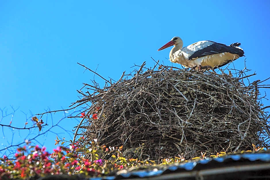 Maison d'hotes Berbari