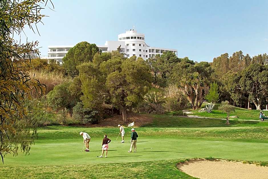 Trh Paraiso