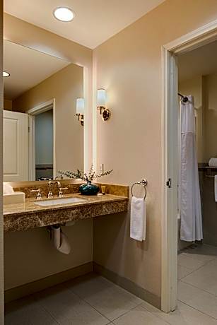 Studio Suite, 1 King Bed, Accessible