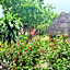 Tropinest bungalows & hostel