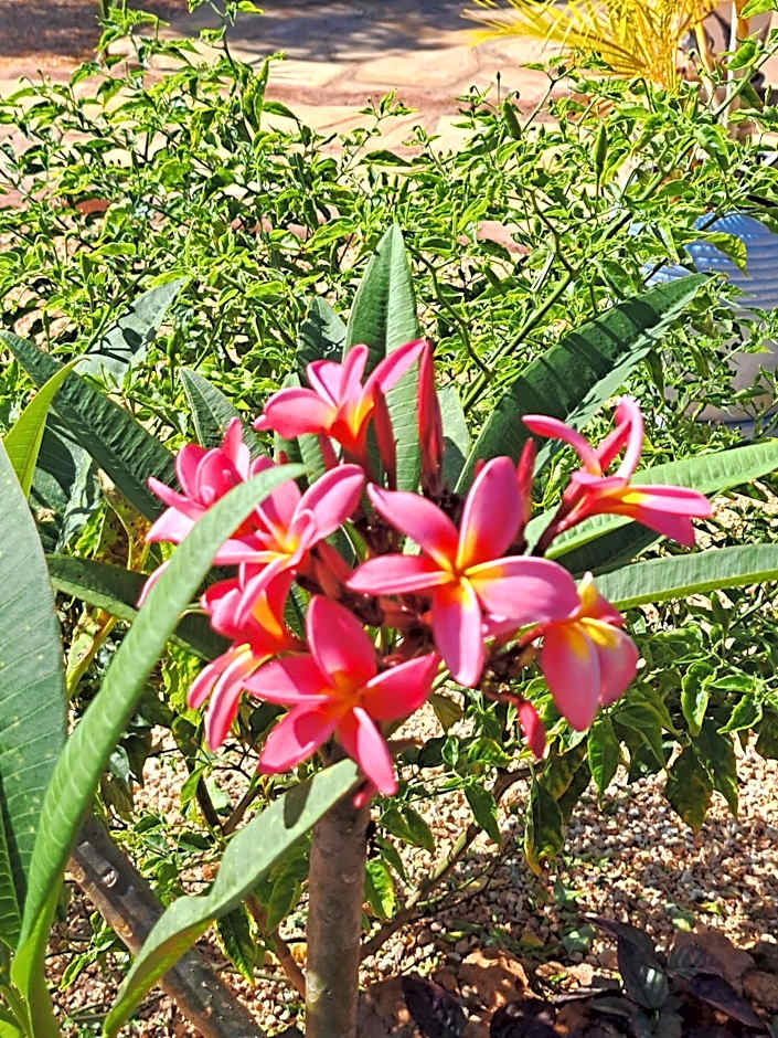 Mimi na wewe villa