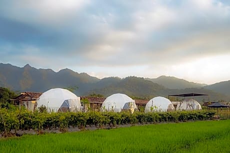 Borobudur Luxury Glamping