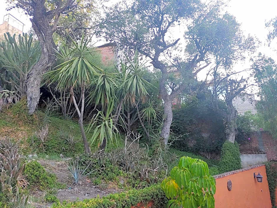 Laica House