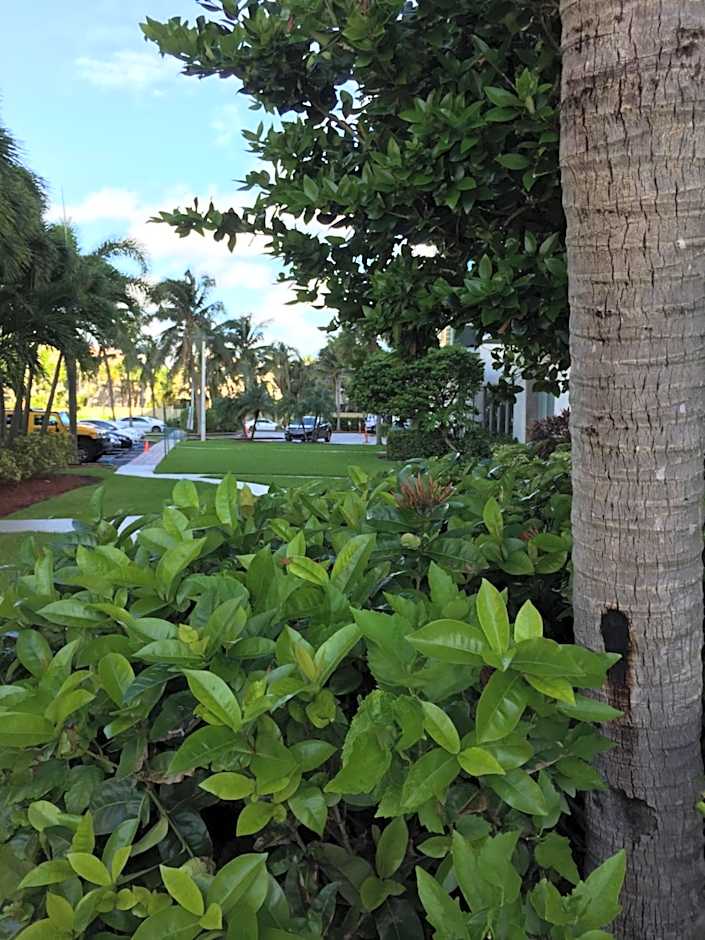 Ocean Reserve STR-01045