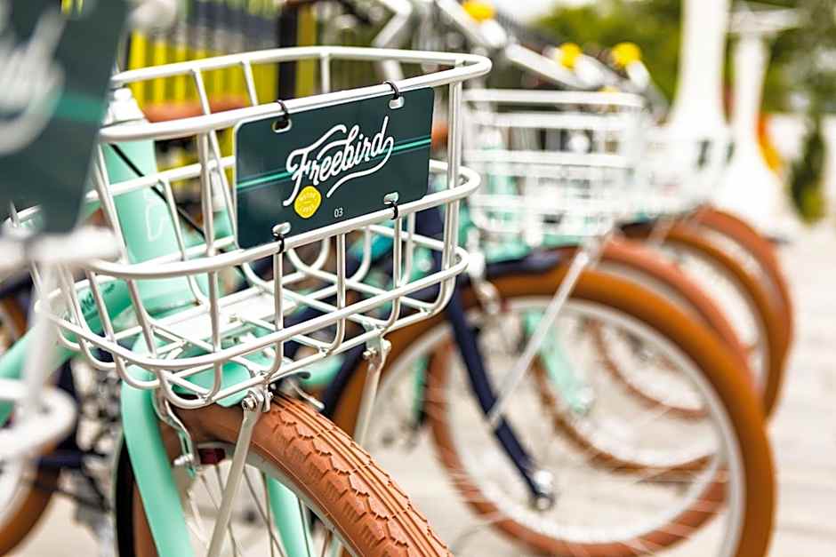 Freebird by Reverie Boutique Collection