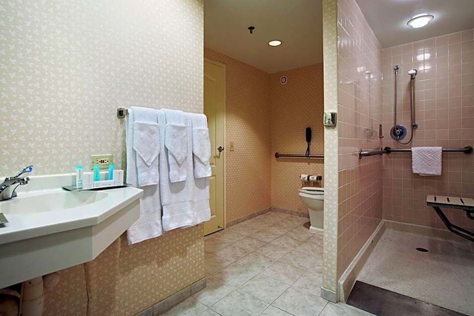 Hilton Suites Chicago Oak Brook