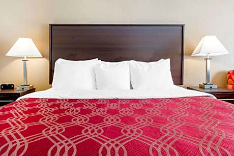 King Room - Non-Smoking