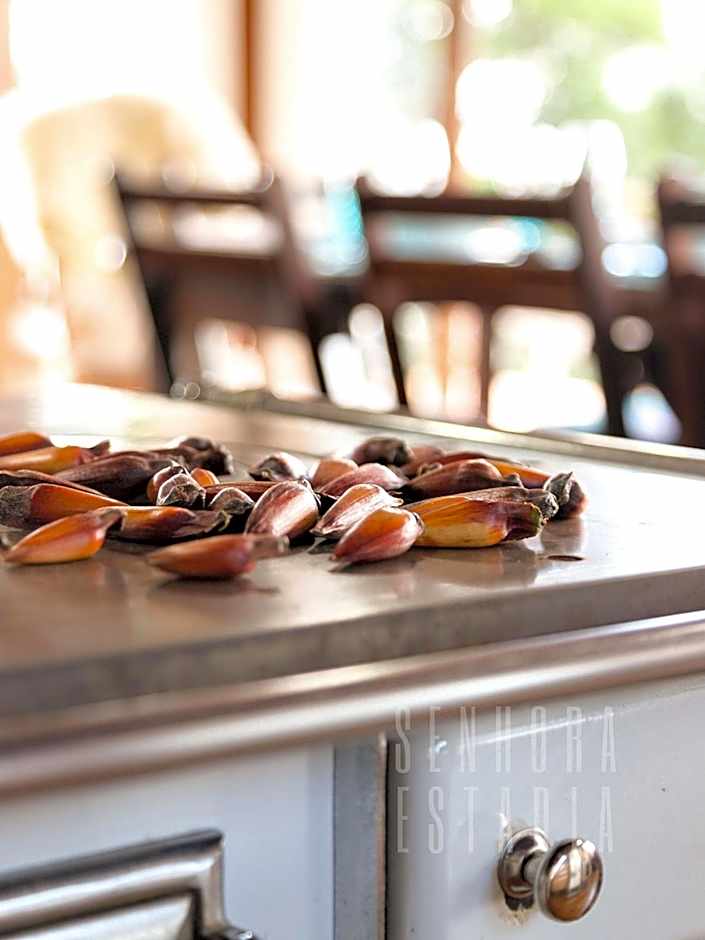 Canarinho Ranch, Wood Stove, with a View
