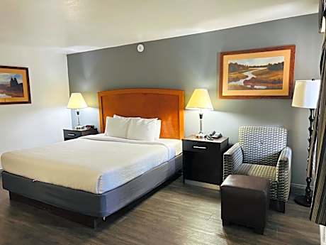 1 King Bed Non-Smoking